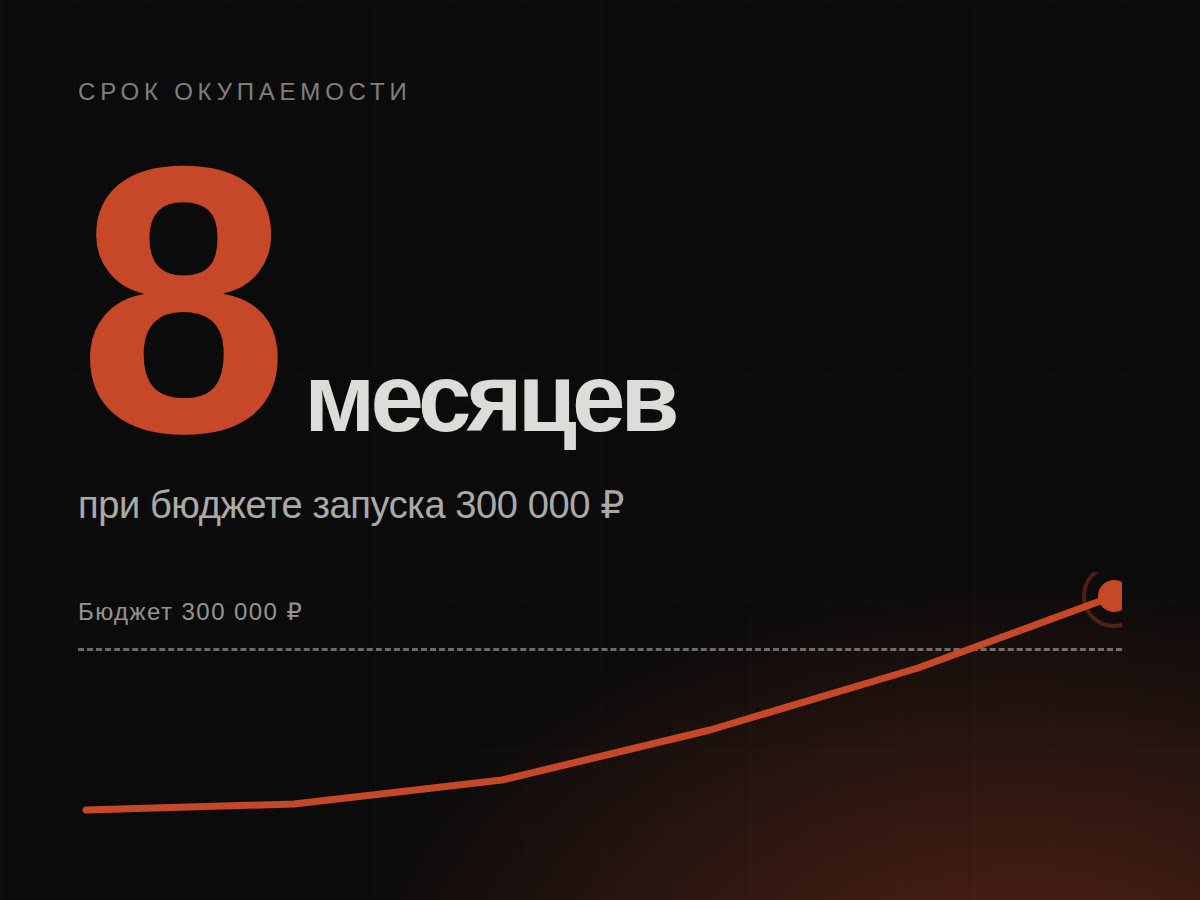 Накопленная выручка перекрывает бюджет на восьмом месяце